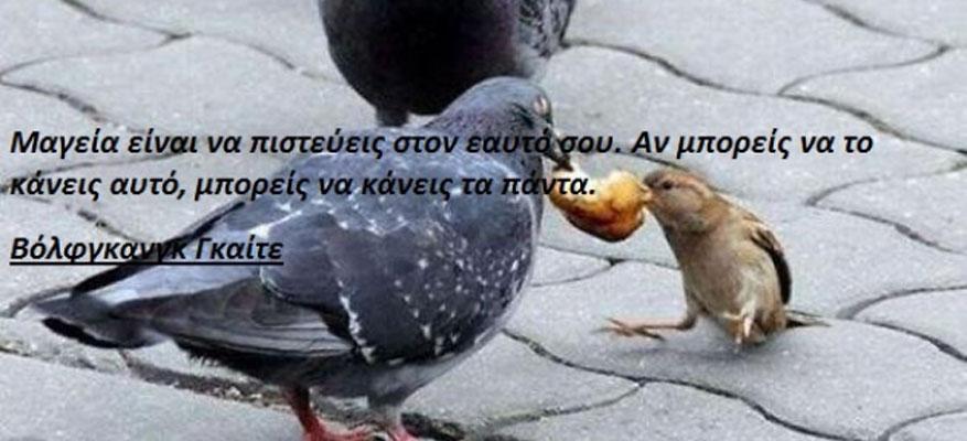 Καλή επιτυχία στους αθλητές-τριες του Ο.Φ.Θ.