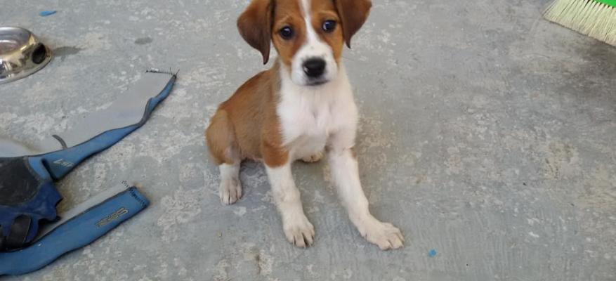 Ηλέκτρα 3 μηνών