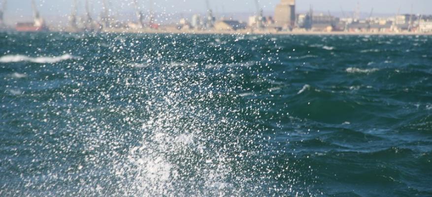 ΟΦΘ 28 και 29-12-2016