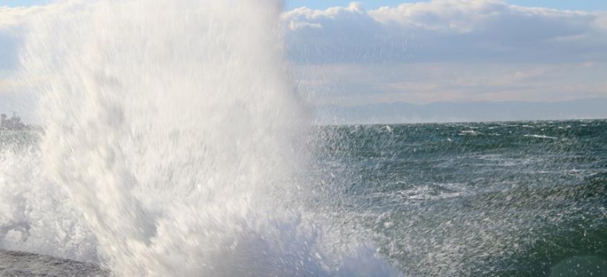 ΟΦΘ 28 και 29-12-2016